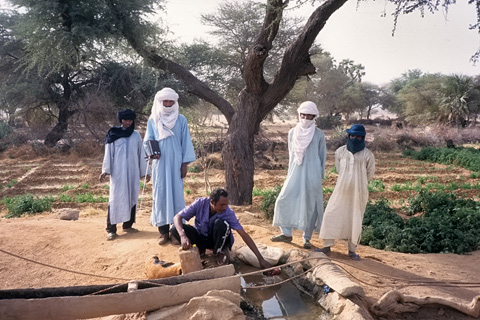 http://www.transafrika.org/media/Bilder Niger/oase tuareg.jpg